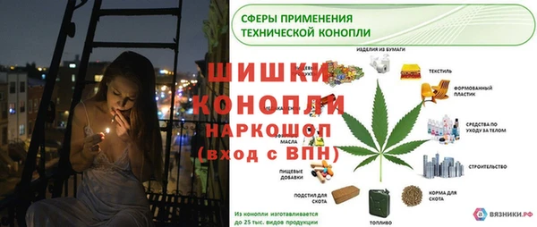 твердый Верея
