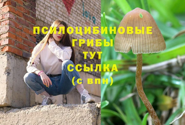 прущая мука Верхний Тагил